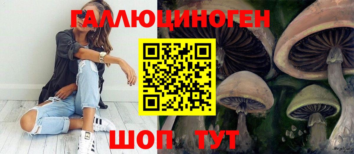 Фрязино  Галлюциногенные грибы MAGIC MUSHROOMS  даркнет сайт  Галлюциногенные грибы Psilocybe  Вход с VPN 